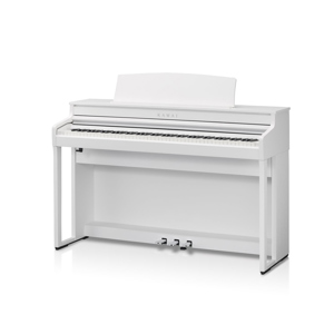 undefined undefined: Picture 1 regular