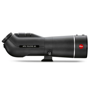 undefined undefined: Picture 1 regular