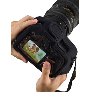 undefined undefined: Picture 1 regular