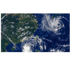 undefined undefined: Picture 1 regular