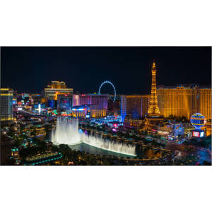 undefined undefined: Picture 1 regular