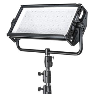 undefined undefined: Picture 1 regular