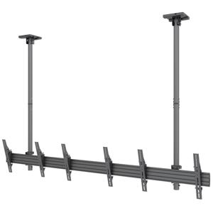 undefined undefined: Picture 1 regular