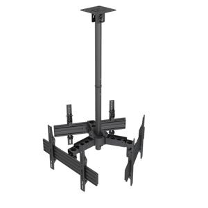 undefined undefined: Picture 1 regular