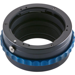 undefined undefined: Picture 1 regular