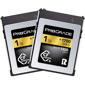 Prograde Digital Gold Series 1TB CFexpress Type-B 2.0 Memory