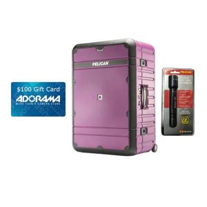 Pelican ba30 cheap