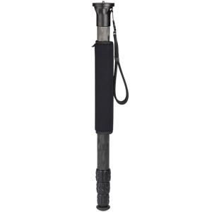 undefined undefined: Picture 1 regular