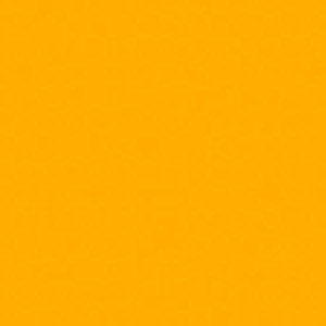 undefined undefined: Picture 1 regular