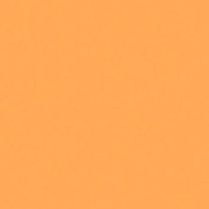 undefined undefined: Picture 1 regular