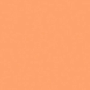 undefined undefined: Picture 1 regular