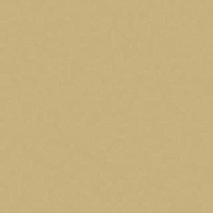 undefined undefined: Picture 1 regular