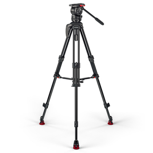 undefined undefined: Picture 1 regular