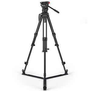 undefined undefined: Picture 1 regular