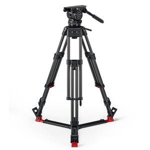 undefined undefined: Picture 1 regular