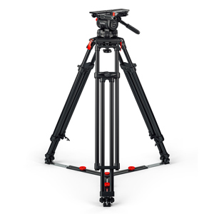 undefined undefined: Picture 1 regular