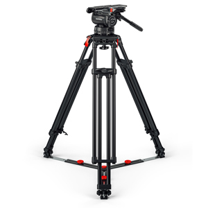 undefined undefined: Picture 1 regular