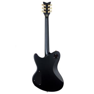 Schecter Dan Donegan Ultra Electric Guitar, Ebony Fretboard, Satin