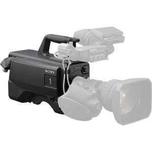 undefined undefined: Picture 1 regular