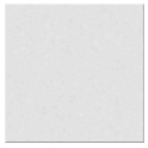 undefined undefined: Picture 1 regular