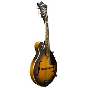 Amazon.com: Washburn Americana Series, 8-String Mandolin