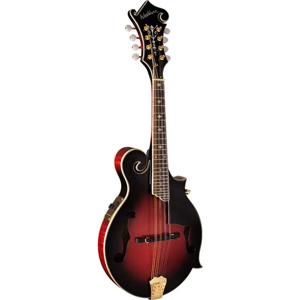 Mandolin acoustic electric new arrivals