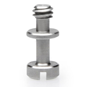 undefined undefined: Picture 1 regular