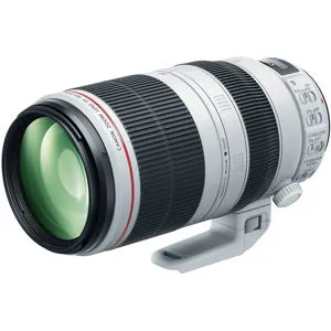 canon-ef-100-400mm-f4-5-5-6l-