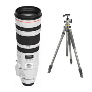 Canon EF 200-400mm f/4L IS USM Extender 1.4x Lens w/ALTA PRO 2+