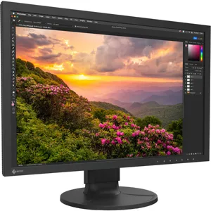 ディスプレイ・モニター本体 ColorEdge CS2400S Eizo ColorEdge CS2400S 24.1