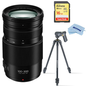 Panasonic Lumix G Vario 100-300mm f/4.0-5.6 II Lens for MFT with 