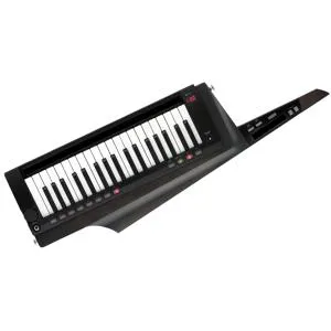 鍵盤楽器 KORG RK-100S 2 KEYTER Korg RK-100S 2 Keytar – Woodsy's Music