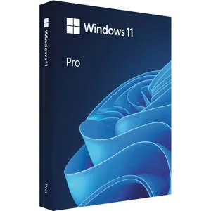 Microsoft Windows 11 Professional 64-Bit, Single License, USB