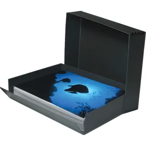 Print File Drop-Front Metal Edge Archival Storage Box, 20.5x24.5x3 ...