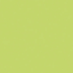 Rosco 388 Roscolux Gaslight Green, 20x24 Color Filter 100003882024