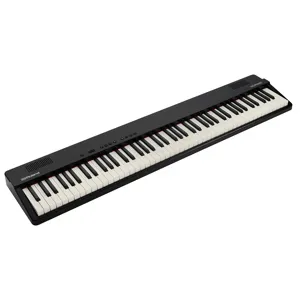 （ほぼ新品）Roland GO:PIANO 88（GO-88PX） Roland GO:PIANO88 88-Key Touch-Sensitive Stereo Portable Digital