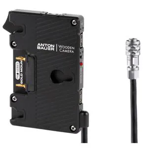 Wooden Camera Pro Gold Mount (Blackmagic Pocket Cinema Camera 4K/6K ...