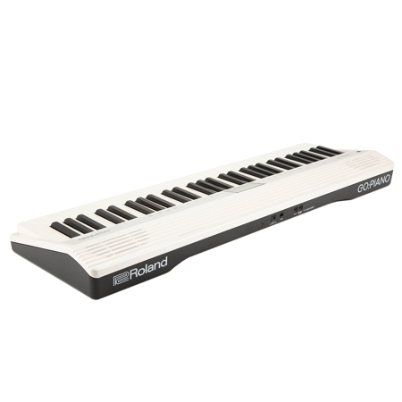 Roland Go:Piano GO-61P-A Digital Piano w/ Alexa Built In | eBay