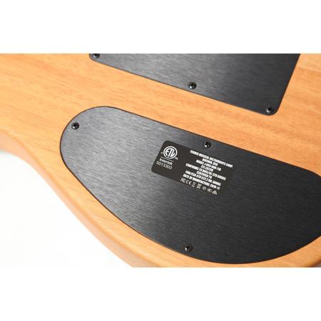 Fender American Acoustasonic Telecaster Electric Guitar with Gig Bag SKU#1601867