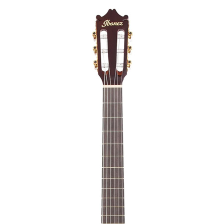 Ibanez thinline acoustic guitar clearance