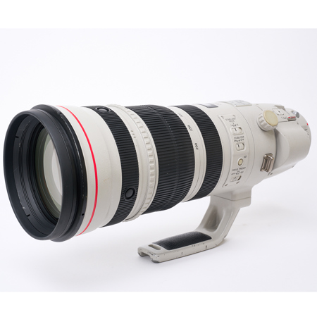 Canon EF 200-400mm f/4L IS USM with Built-in Extender 1.4x Lens