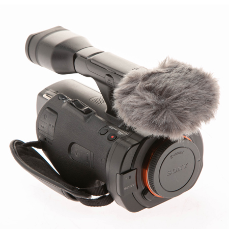 sony nex 900