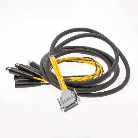 Avid DB25-XLR M+F AES/EBU DigiSnake - Digital I/O Snake (4-Foot) SKU#1700202