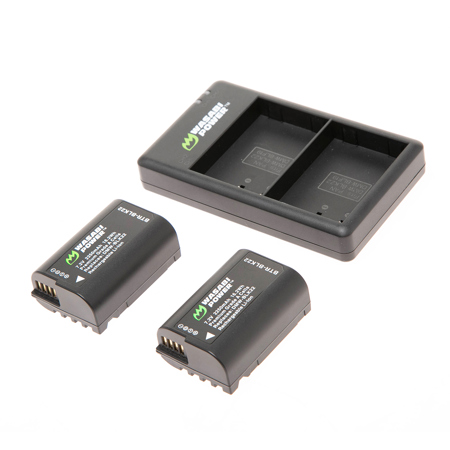 PANASONIC DMW-BLK22 BATTERY (2-PACK) AND USB-C DUAL CHARGER BY WASABI POWER
