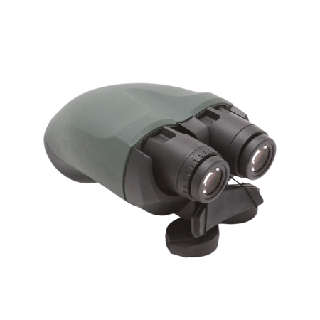 Swarovski Optik BTX Module Eyepiece Module - Dual Eye Viewing for ATX/STX Spotting Scopes