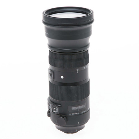 Sigma 150-600mm F5-6.3 DG OS HSM Sport Lens for Nikon DSLR Cameras