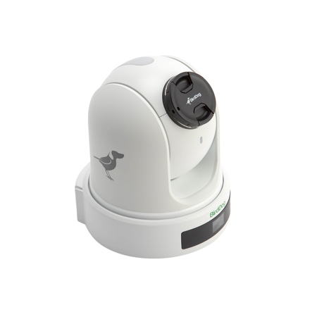 BirdDog P120 Full HD Full NDI 20x PTZ Camera - White SKU#1834102