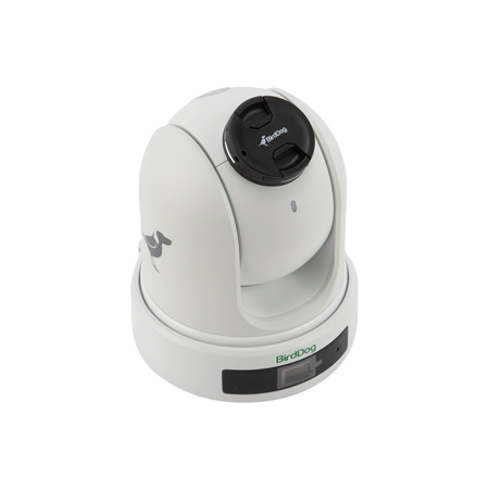 BirdDog P120 Full HD Full NDI 20x PTZ Camera, White