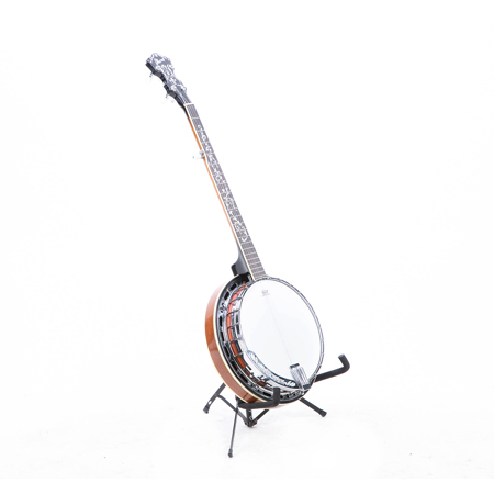 Ibanez B200 5-String Banjo, 22 Frets, Mahogany Neck, Rosewood Fretboard, ABS-Multi Resonator Binding