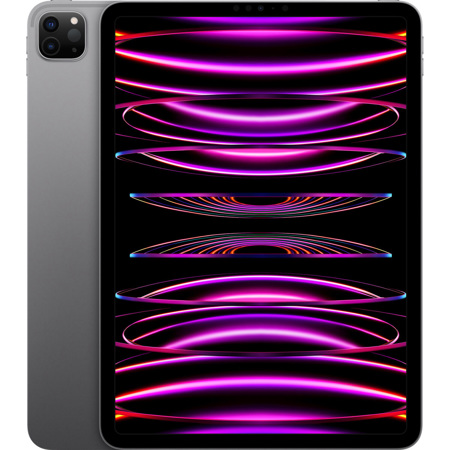 Apple iPad Pro 11" 4th Gen M2 Chip, Wi-Fi, 256GB,iPadOS 16,Space Gray, Late 2022